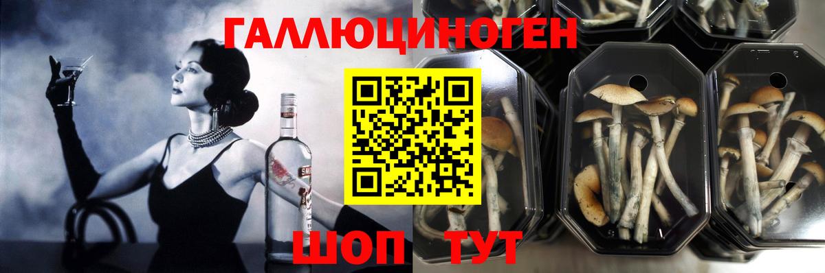 Псилоцибиновые грибы мухоморы  Галлюциногенные грибы мицелий  Вход с VPN  Вольск 