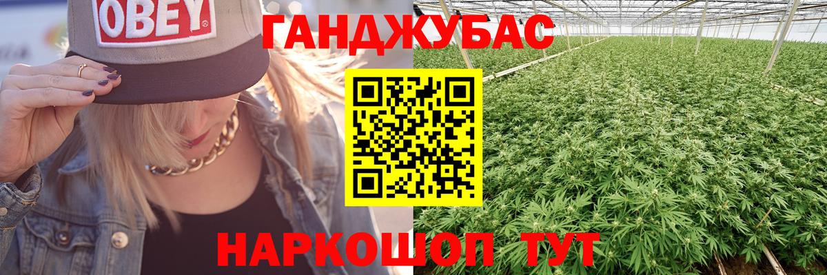 Вольск  Каннабис планчик  Бошки марихуана White Widow  Марихуана Bruce Banner  Вход с VPN 